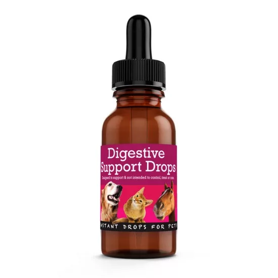 digestive-support-drops-animal herbal remedy dog indigestion home remedies