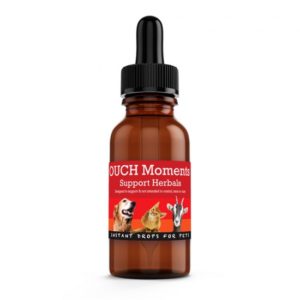 natural dog and cat pain reliever