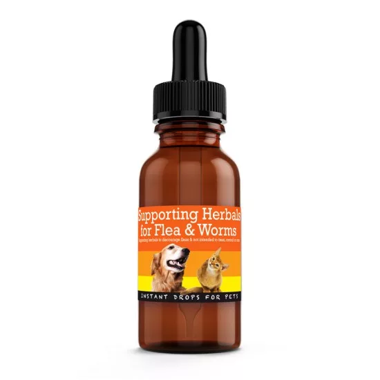 flea treatment natural flea treatment for cats