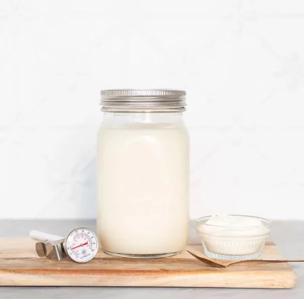 Coconut Yogurt Kit Coconut Yogurt Kit