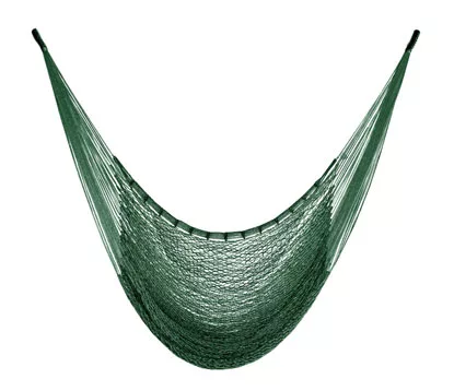 hammock-forest hammock-forest