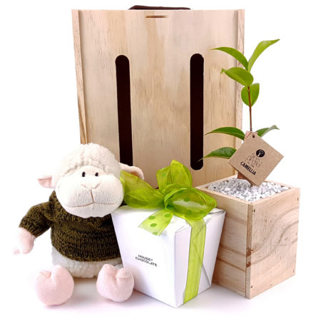 our_little_lamb tree gift box