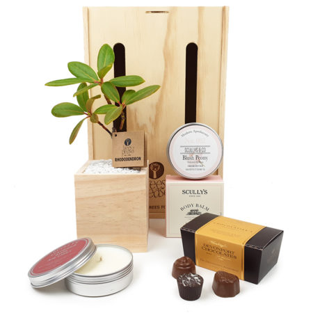 pampering_tree_gift box