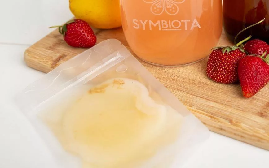 jun kombucha scoby kombucha scoby for sale