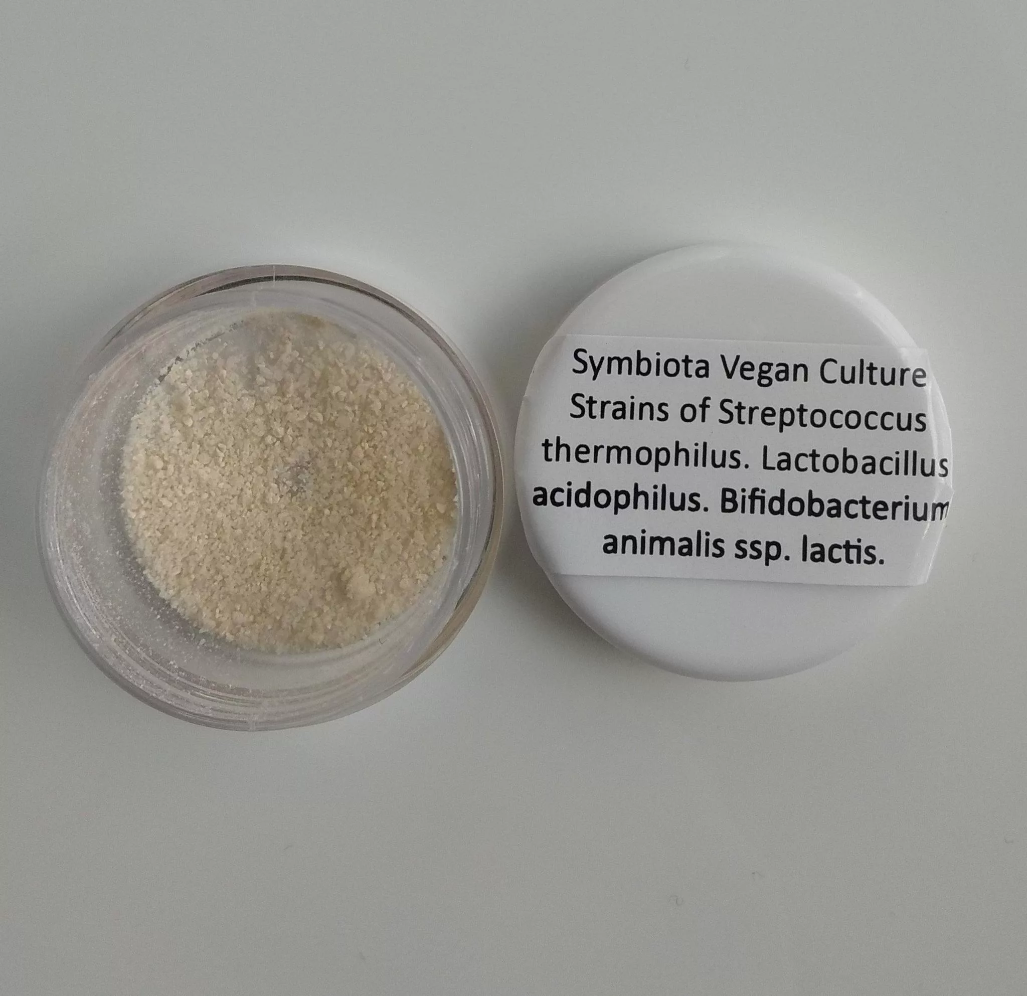 vegan Yogurt Culture vegan Yogurt Culture