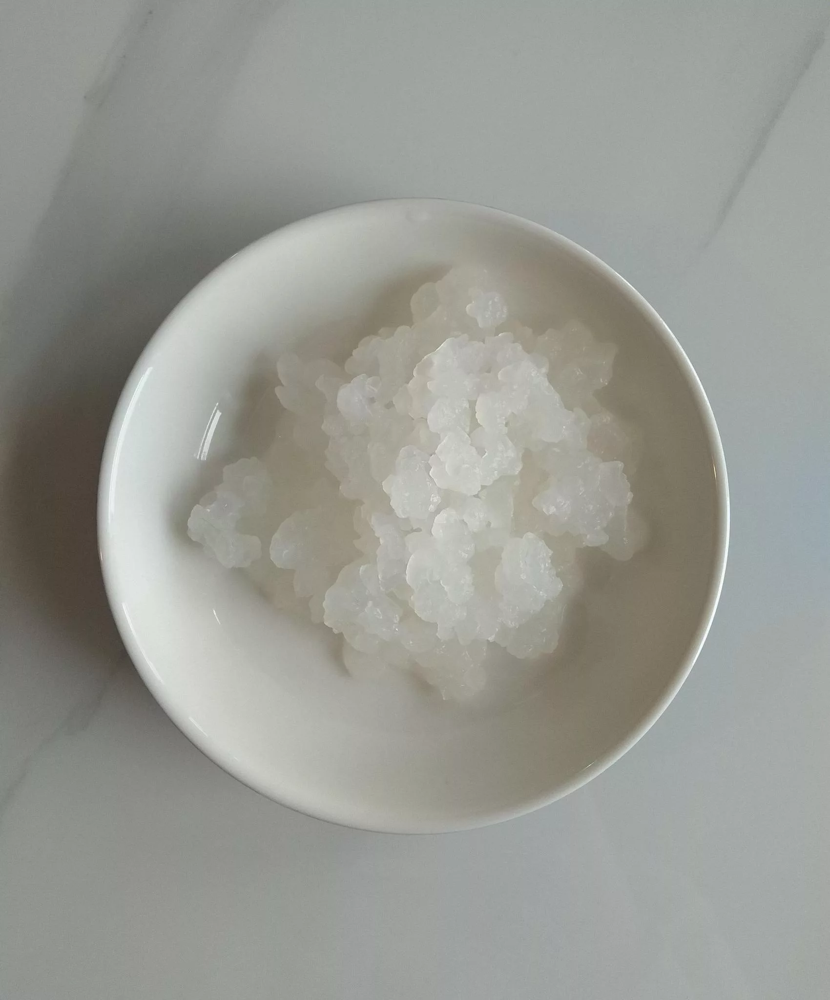 water_kefir_grains water_kefir_grains