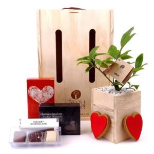Gift Ideas