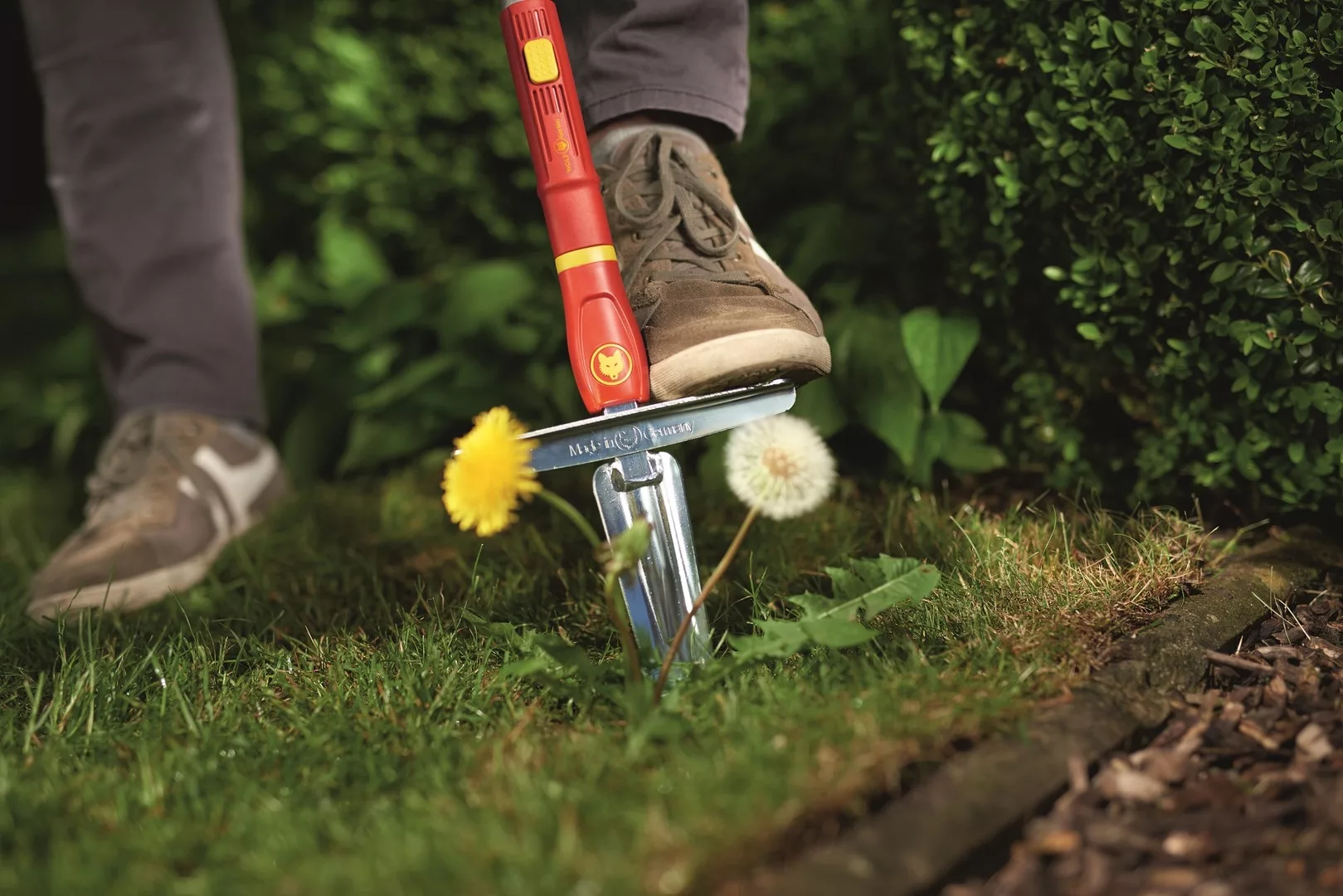 weed extractor weed extractor