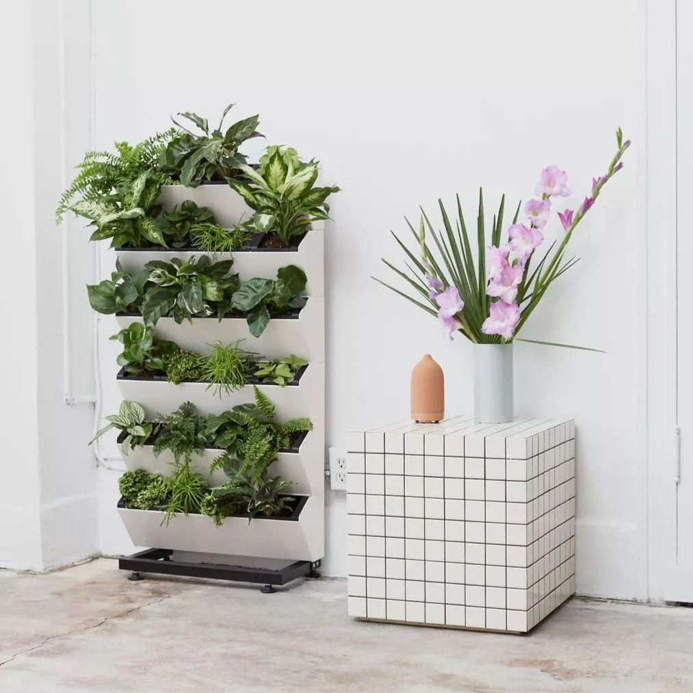 Vertical Garden White Vertical Garden White