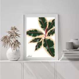 Botanical wall Art NZ