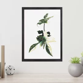 Prints Online