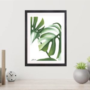 indoor plants art nz