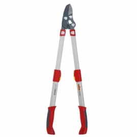 loppers and pruners