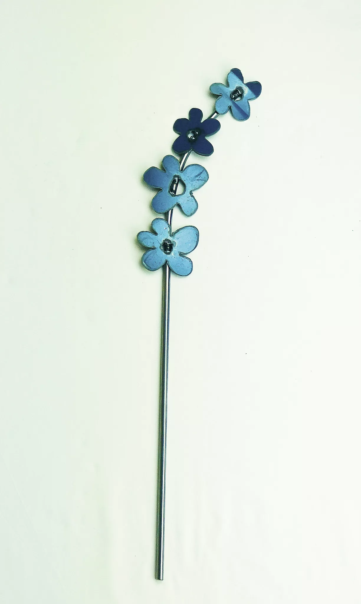 Daisy_Bantam plant stakes indoor