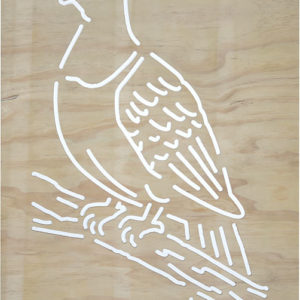 garden screen Wood-Pigeon-Kererū