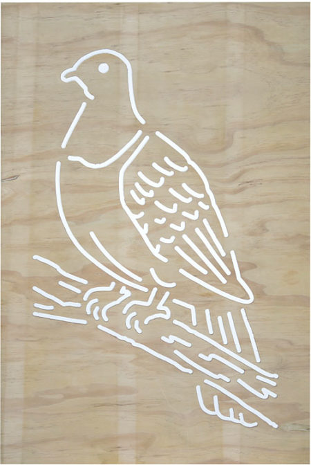 garden screen Wood-Pigeon-Kererū