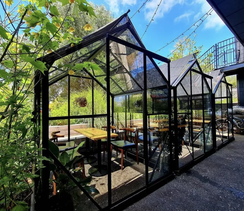 IMG-6450 Greenhouse nz mitre 10