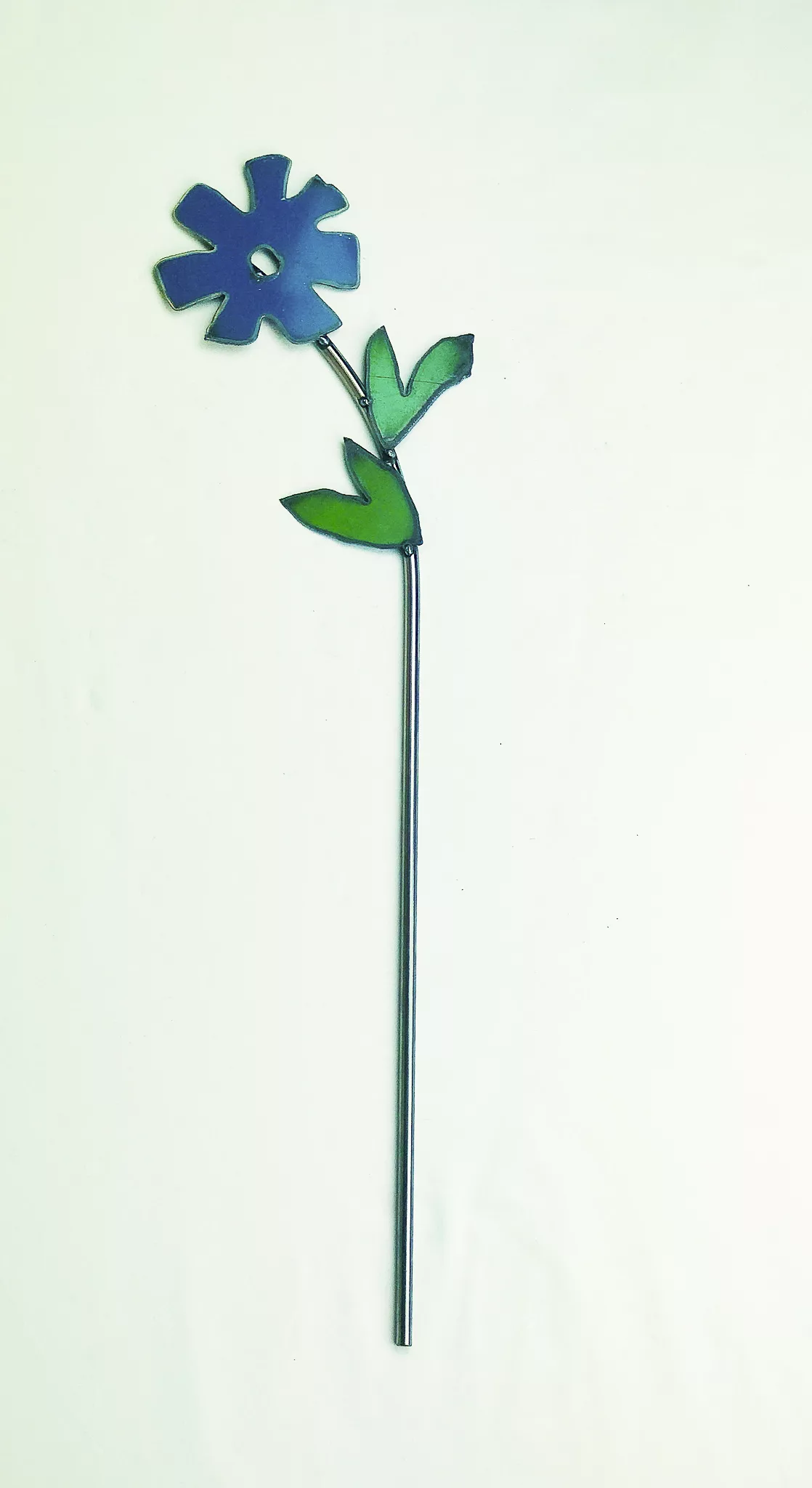 Sunflower_Bantam plant stakes outdoor