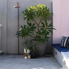 outdoor shower nz