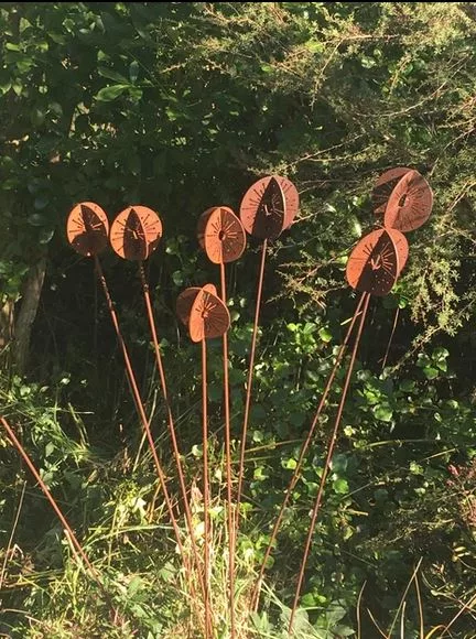 Alliums Alliums