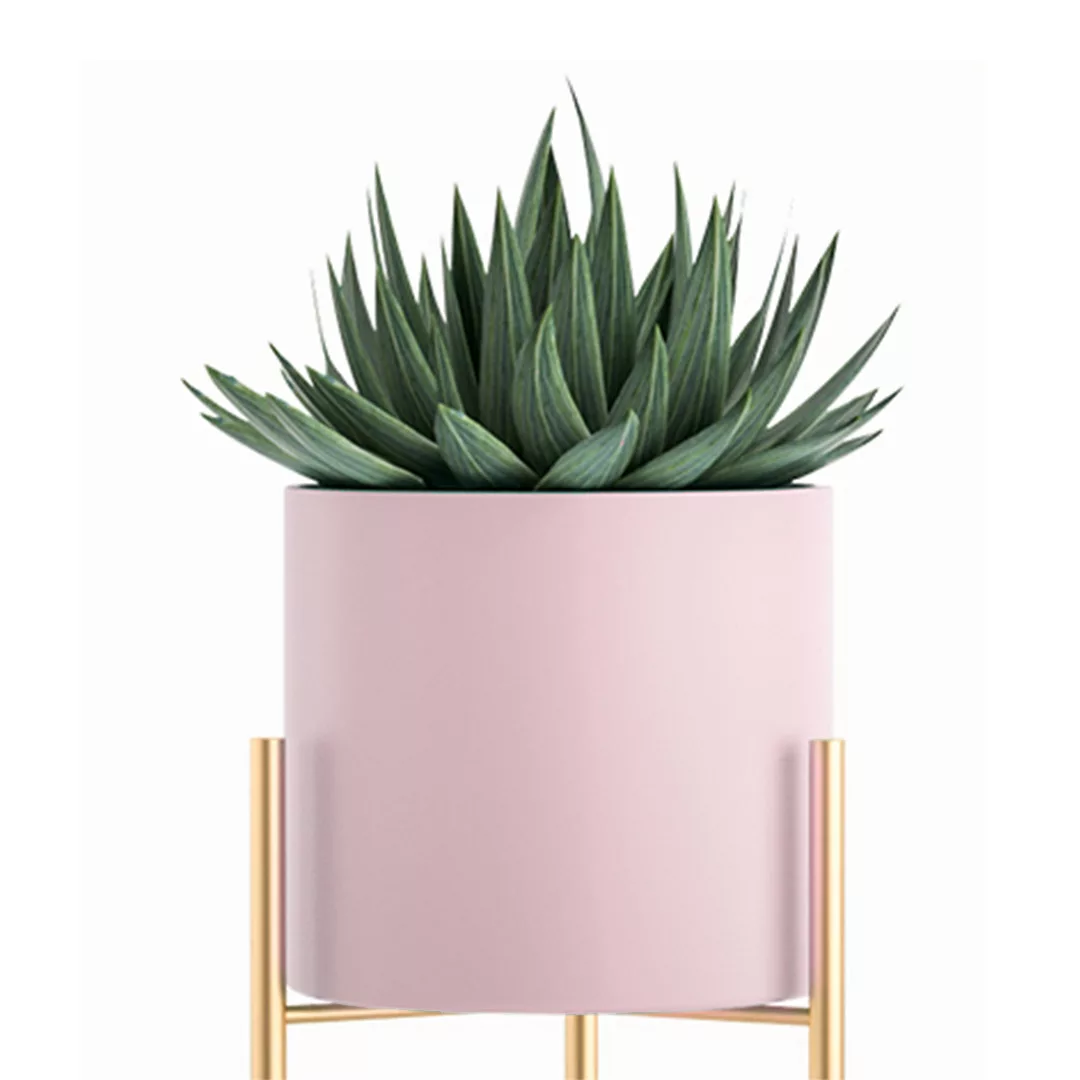 FPotH62PNK-002 indoor plant stands nz