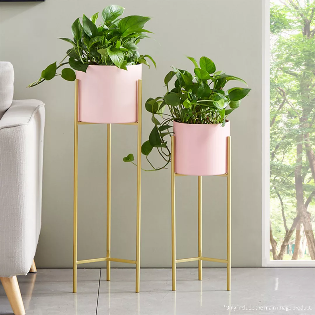 FPotH62PNK-006 indoor plant stands nz