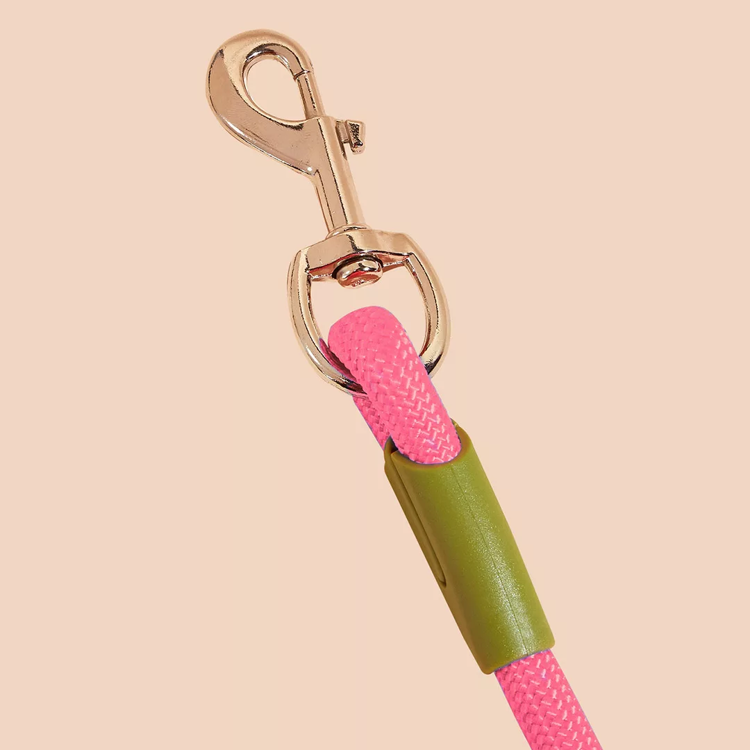 PetLeash015-004