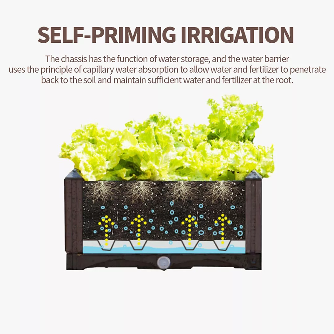 PlantBox3F-006