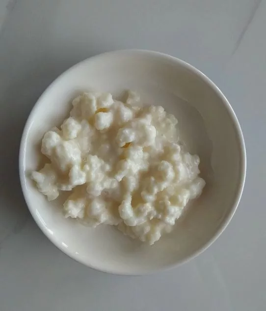 Milk Kefir Grains milk kefir